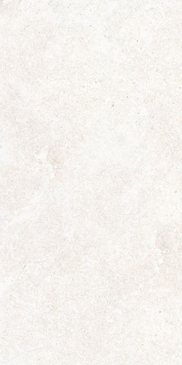 OL Limestone Bianco Matte 12 x 24